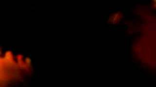 Steamer annabelle dieter kim kenny