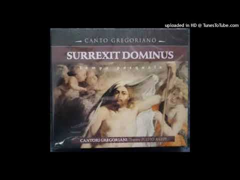 13 Anon- Surrexit Dominus - Alleluia. Ascendit Deus