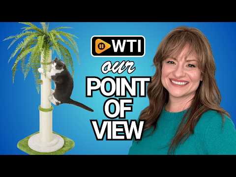 42" Tall Palm Tree Cat Scratching Post - Heavy Duty Coconut Cat Scratcher for Large Cats - WTI product video review