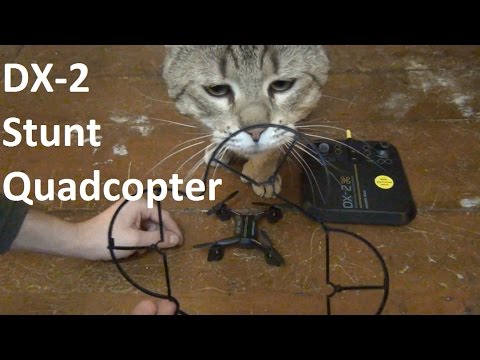 Sharper Image DX-2 Stunt Quad!  Review & Flight Test!