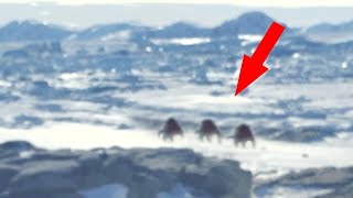Man's Drone Camera Caught Something Terrifying On This Mountain
