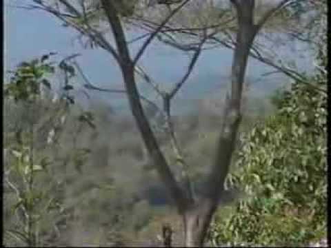 Zosangliani   Kar a Hla