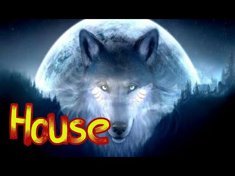 Marin Hoxha Vs Vinsmoker - Doha 🎶[ HOUSE MUSIC ]