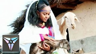 Rahel Okbagaber - Begiey (Official Video) | New Eritrean Music 2016