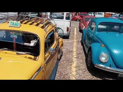 Dia nacional do fusca - world beetle day #dnf 2022