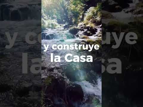 20 de septiembre de 2024