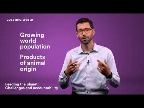 Ecology and food economy - Feeding the planet: Challenges and accountability