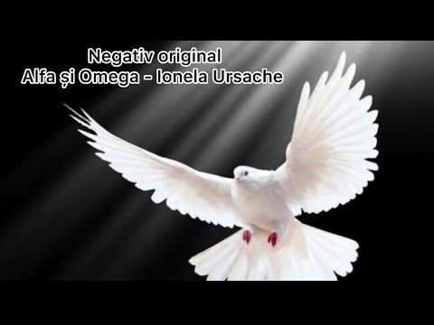 Negativ Alfa și Omega