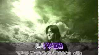 Ron - Hai capito o no (karaoke - fair use)