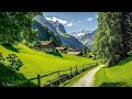 Beautiful Relaxing Music - Healing Music For Health And Calming The Nervous System, Deep Relaxation