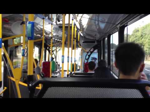 STA Sydney 2596 ST - Scania K280UB (ZF Ecolife)