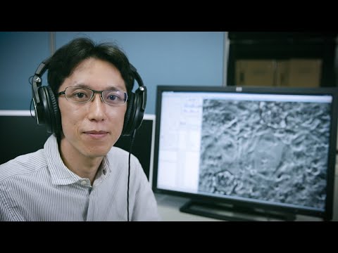 Do cells hear sounds?