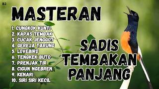 Download lagu 🔴 GACOR SADIS MENTAL KUAT MASTERAN MURAI BATU GACOR mp3 Download lagu 🔴 GACOR SADIS MENTAL KUAT MASTERAN MURAI BATU GACOR mp3