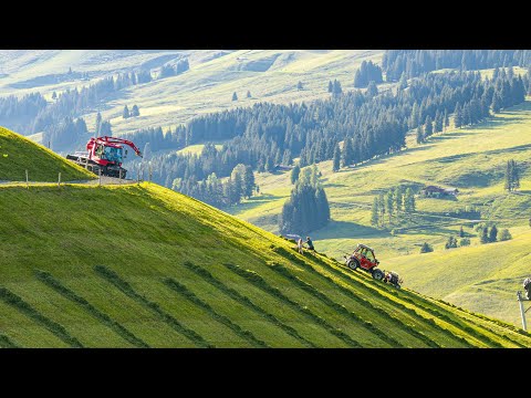 Video 40 aus  Ferienwohnungen Perfeldhof