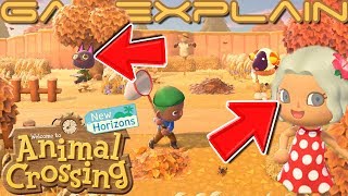 5 NEW Animal Crossing New Horizons Screenshots (Animals Wearing Glasses, New Eyes Types, & More)