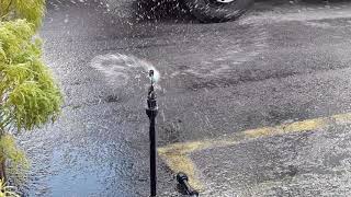 3142 Water Sprinkler