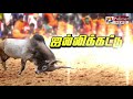 மல்லுக் கட்டும் வீரர்கள் துள்ளி விளை
