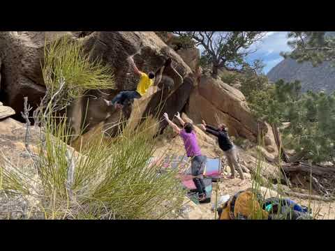 Gap Year 2: CO and Joes Weekends