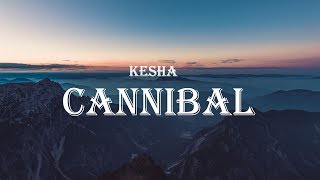 Kesha - Cannibal (Rapidsongs Edit) (Lyrics) | TikTok Song