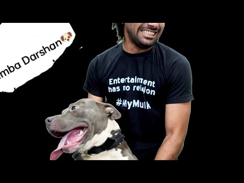 Shreeman ka Simba Darshan 🐶🐶 | Shreeman Legend #bandhilki  #shreemanlegend #simba