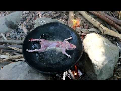 Survival skills: Find and catch mouse for food - Cooking mouse eating delicious #5 Video