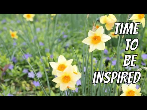 Inspired by Daffodils and Birds