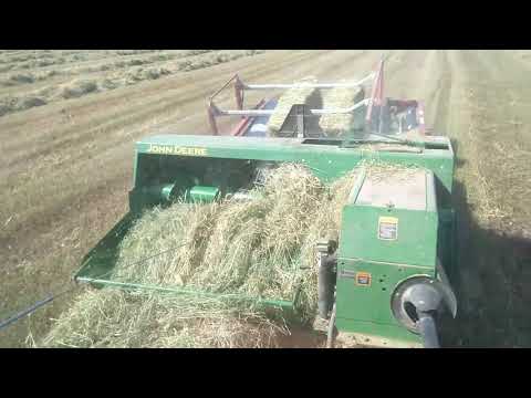 Square baling new seeding hay