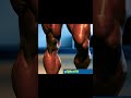 Unbelievably Muscular Legs The Best Of FBB Muscular Muscularlegs Fbb Shredded