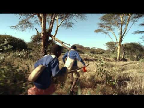 Trailer-Vorschau: Auf dem Weg zur Schule