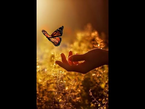 Antônio Marcos - Por Que Chora a Tarde