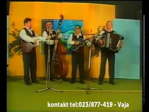 Botoška tamburica-Dva brata iz ravnog Banata