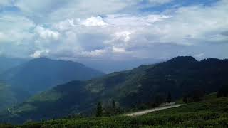 preview picture of video 'Temi tea garden, south Sikkim,'