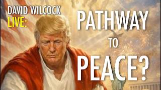 Download lagu David Wilcock LIVE: Pathway to Peace? mp3