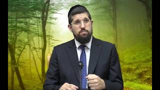 "התקומה מהשואה" - קצר ולעניין עם הרב אליהו עמר