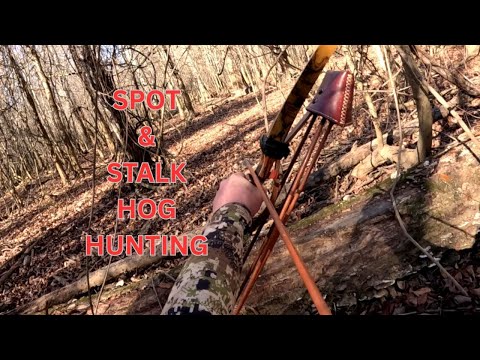 COLD MORNING HOG HUNTING WITH THE LONBOW!
