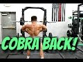 Underhand Bent Over Rows Progression