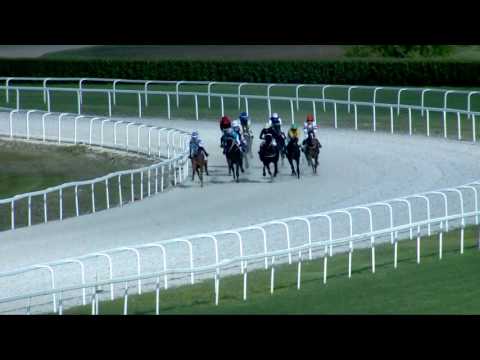 2017.04.23. 6. futam - AMATŐRVERSENY HENDIKEP (IV.o.) (szintetikus pálya)