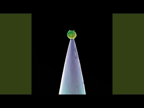 Downside Up (feat. Melanie Gabriel)