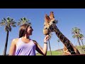Safaris Departing Daily At The San Diego Zoo Safari Park
