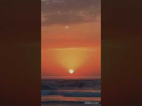 Lutje te ndryshme 33