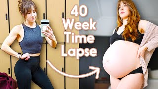 Adorable Pregnancy Time Lapse - Incredible Week by