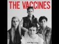 I Always Knew by The Vaccines (LYRICS IN ...