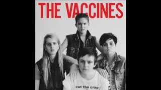 I Always Knew by The Vaccines (LYRICS IN DESCRIPTION)