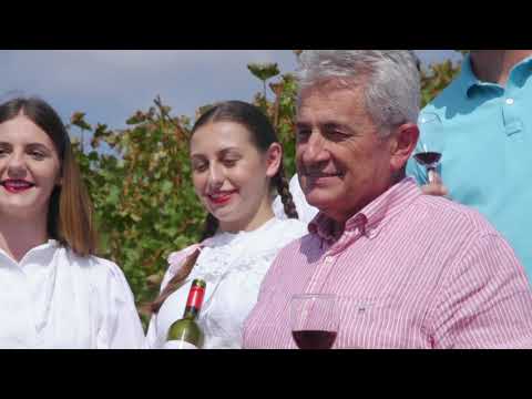 Televizija Zapad - Kratke Vijesti 11.09.2020.