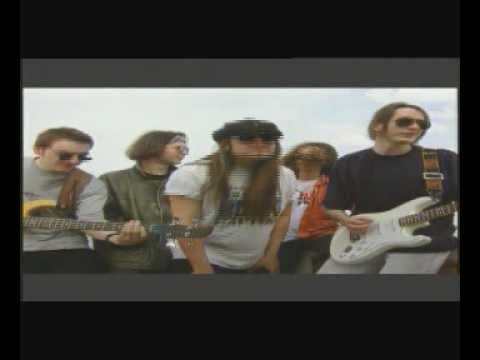 Alligators- 10 w skali Beauforta (1994)