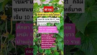 Download lagu #remix #dj #edm #music #sound #automobile #plants #colonelkkjϟ #thaifood #mindset mp3 Download lagu #remix #dj #edm #music #sound #automobile #plants #colonelkkjϟ #thaifood #mindset mp3