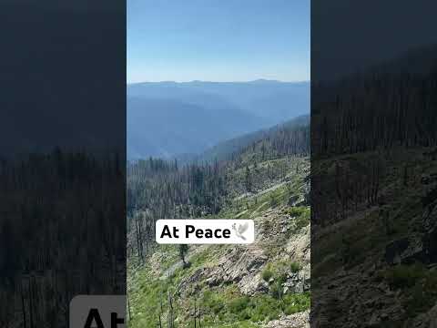 Another Blissful Day On The Pacific Crest Trail