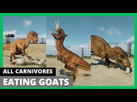 Jurassic World Evolution 2: ALL CARNIVORES EATING GOATS