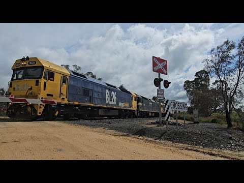 7902V PN up Fruitflyer (BL26+G523+BL27), Merbein to Melbourne, 1043, 18/10/24, North Ararat VIC