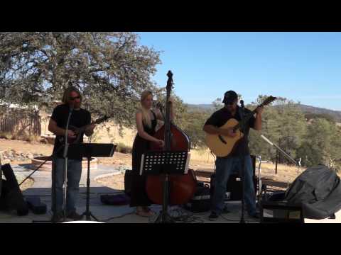 Strung Nugget Gang - Hickman Family Vineyards C